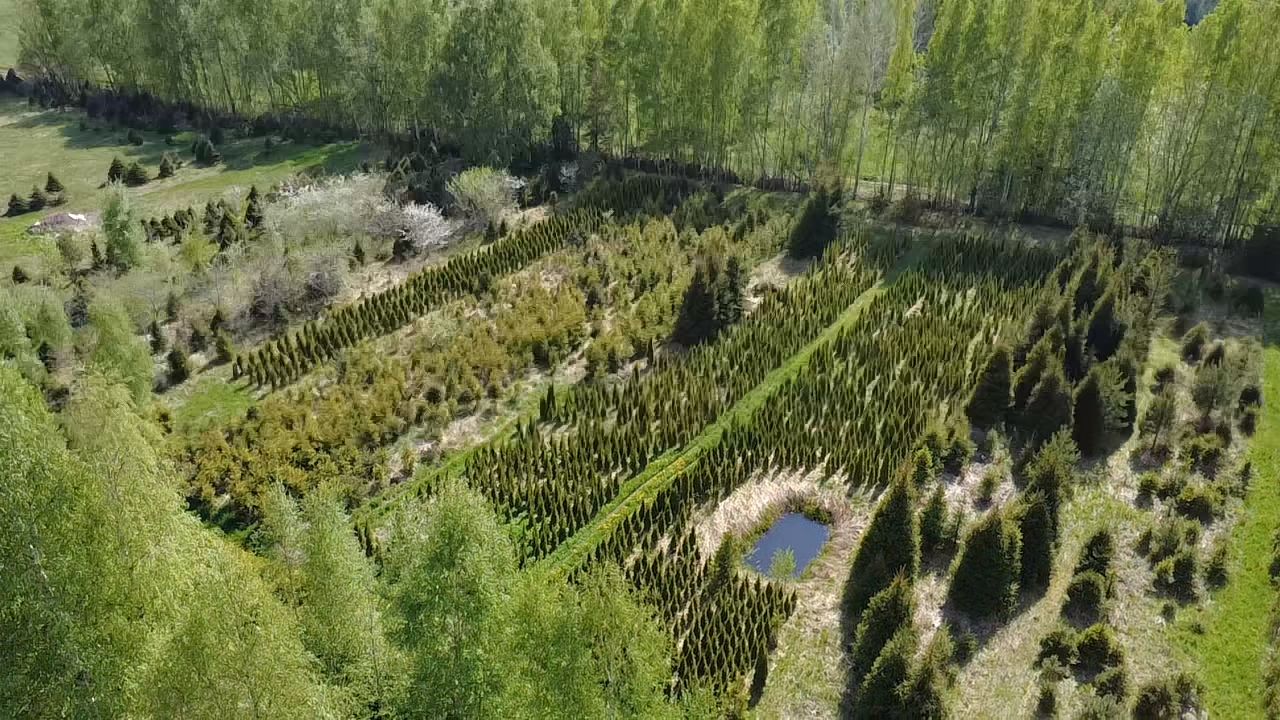 Hekid.ee_puukooli_elupuude_kasvatus